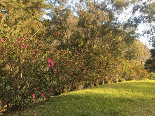Nosso Sítio - Rancho Santa Clara Itaipava Villa Petrópolis Esterno foto